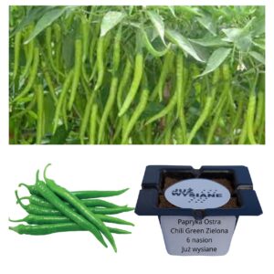 Papryka ostra Chilli Green zielona "JUŻ WYSIANE" nasiona