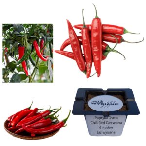 Papryka ostra Chilli Red czerwona "JUŻ WYSIANE" nasiona