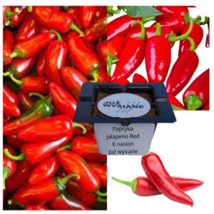 Papryka ostra Jalapeno Red czerwona "JUŻ WYSIANE" nasiona