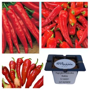 Papryka półostra ROKITA "JUŻ WYSIANE" nasiona