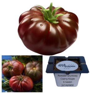 Pomidor gruntowy Czarny Książę "JUŻ WYSIANE" nasiona