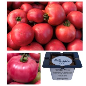 Pomidor wysoki Malinowy Ożarowski "JUŻ WYSIANE" nasiona