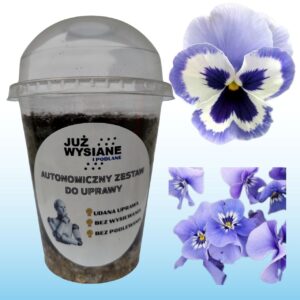 Bratek Marina Autonomiczny Zestaw do uprawy Już wysiane i podlane