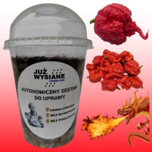 Papryka Dragon’s Breath Autonomiczny Zestaw do uprawy Już wysiane i podlane