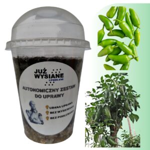 Papryka Jalapeno zielona Autonomiczny Zestaw do Uprawy Już wysiane i podlane