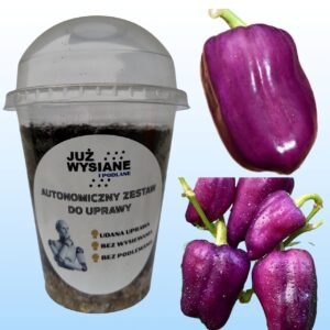 Papryka słodka Oda Autonomiczny Zestaw do Uprawy Już wysiane i podlane