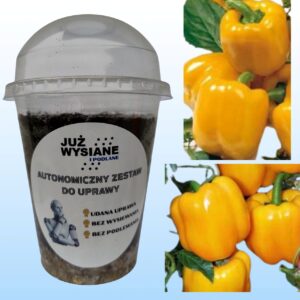 Papryka słodka Afrodita Autonomiczny Zestaw do Uprawy Już wysiane i podlane