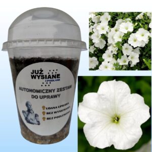 Petunia F1 Duvet White Autonomiczny Zestaw do Uprawy Już wysiane i podlane