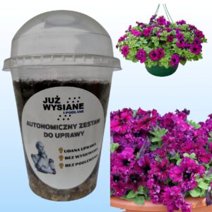 Petunia F1 Espresso Frape Ruby Autonomiczny Zestaw do Uprawy