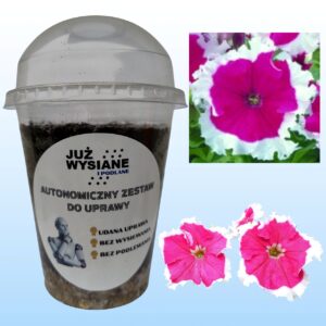 Petunia F1 Frost Cherry Autonomiczny Zestaw do Uprawy Już wysiane i podlane