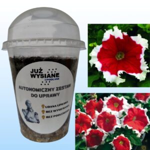 Petunia F1 Frost Fire Autonomiczny Zestaw do Uprawy Już wysiane i podlane