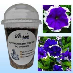 Petunia F1 Frost Velvet Autonomiczny Zestaw do Uprawy Już wysiane i podlane