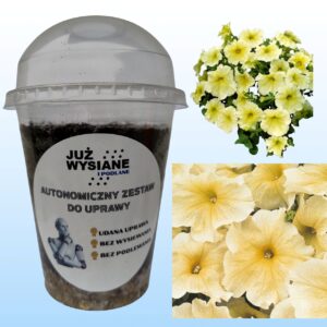 Petunia F1 Prism Sunshine Autonomiczny Zestaw do Uprawy Już wysiane i podlane