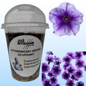 Petunia F1 Tritunia Blue Veined Autonomiczny Zestaw do Uprawy Już wysiane i podlane