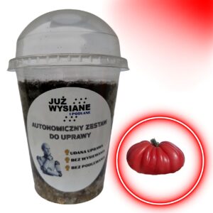 Pomidor Rosamunda F1 Autonomiczny Zestaw do uprawy Już wysiane i podlane