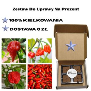 Megaostre Papryczki Już wysiane nasiona Zestaw do uprawy na Prezent