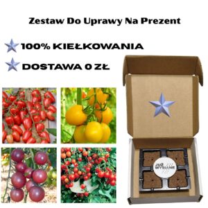 Pomidory Koktajlowe 4 odmiany Już wysiane nasiona Zestaw do uprawy na Prezent