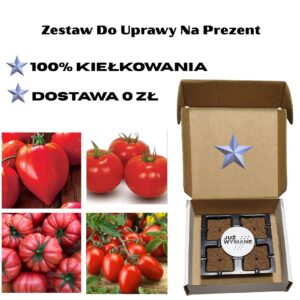 Pomidory 4 fajne odmiany Już wysiane nasiona Zestaw do uprawy na Prezent