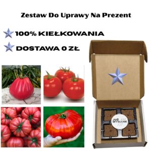 Pomidory F1 Już wysiane nasiona 4 odmiany Zestaw do uprawy na Prezent