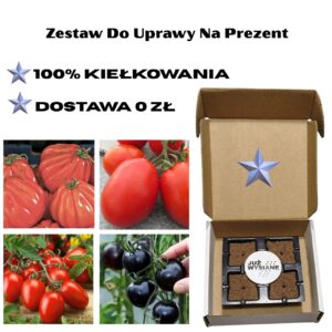 Pomidory Wyjątkowe 4 odmiany Już wysiane nasiona Zestaw do uprawy na Prezent