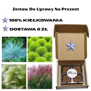 Trawy ozdobne Już wysiane nasiona 4 odmiany Zestaw do uprawy na Prezent