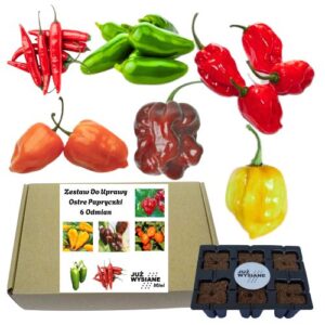 Mini Zestaw Ostre Papryki 6 odmian po 2 nasiona Już wysiane