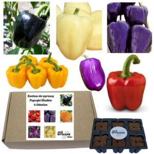 Mini Zestaw Słodkie Kolorowe Papryki 6 odmian po 2 nasiona Już wysiane