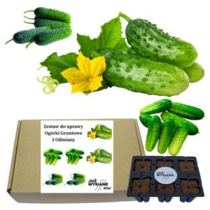 Mini Zestaw Ogórki F1 po 2 nasiona "JUŻ WYSIANE" 3 odmiany