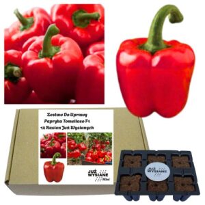 Mini Zestaw 12 nasion Papryka Tomelloso F1 Już wysiane