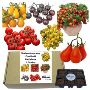 Mini Zestaw Pomidory koktajlowe 6 odmian po 2 nasiona Już wysiane